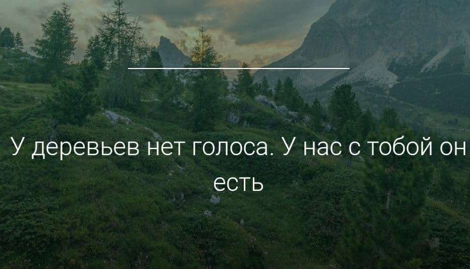 photo_2020-12-27_17-53-40