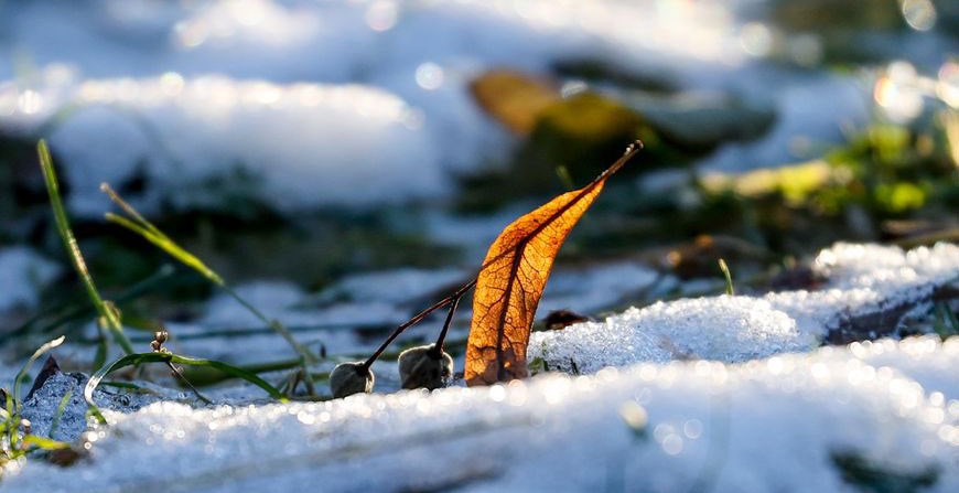 000023_1607346061_419044_big