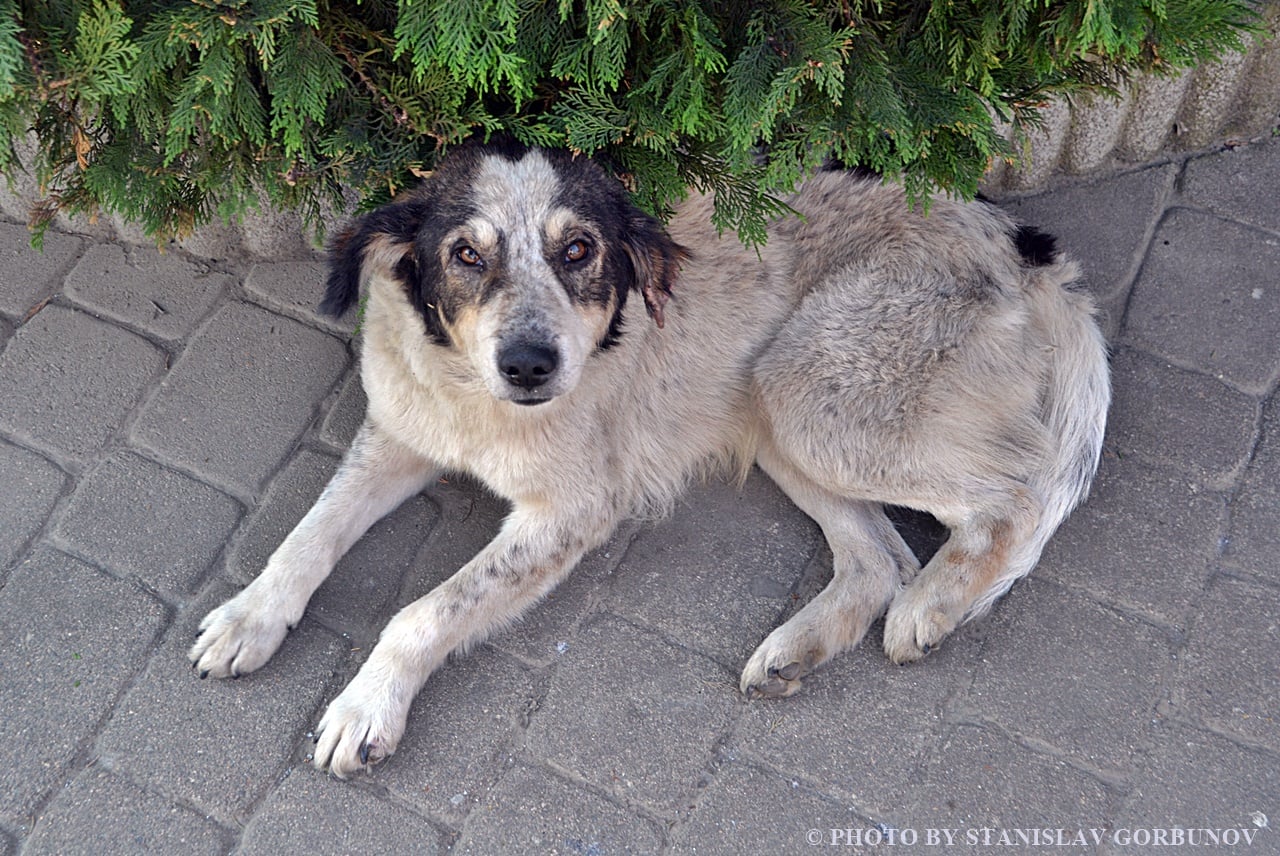 130100960_1067998207036672_7113936640376648516_o