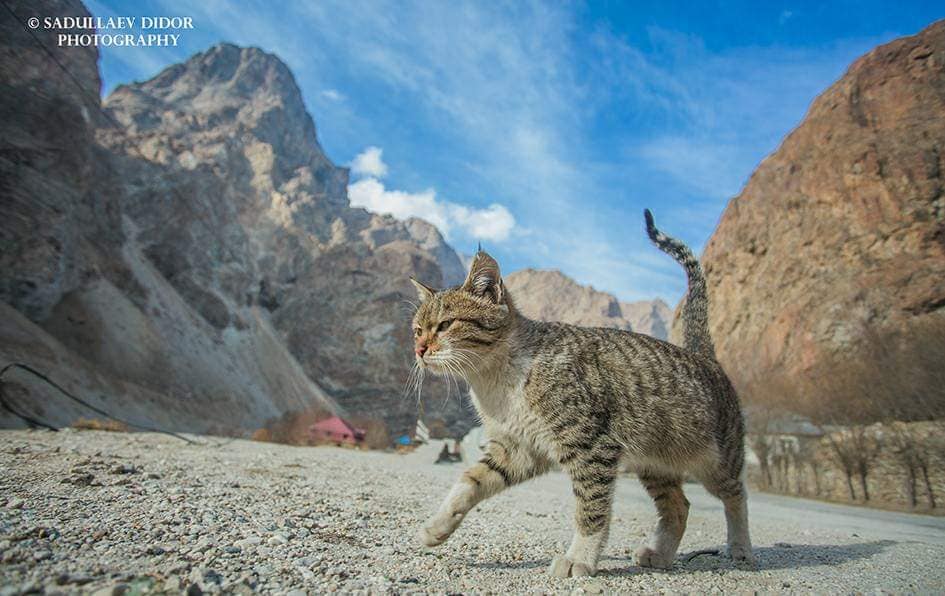 133751640_3528466683948842_6631736865787015681_n