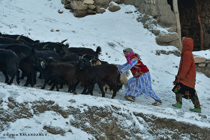 136978880_2804308689819186_4540195165110420816_n