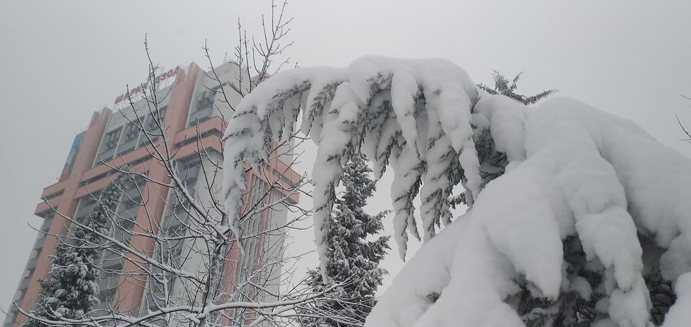 140998458_3904716179612985_2724355305503160190_o