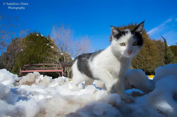 142865718_3600143110114532_3081290560145134810_n