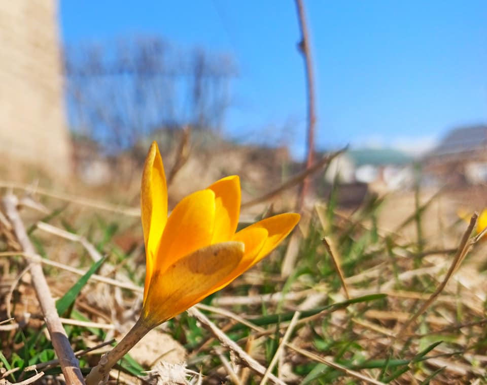 143118479_3603448376450672_8650874376981777060_n