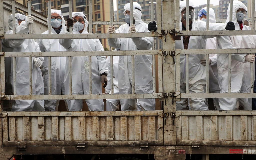 regular_detail_image-6e882cf7c8260b1720ffed7b06faec3c