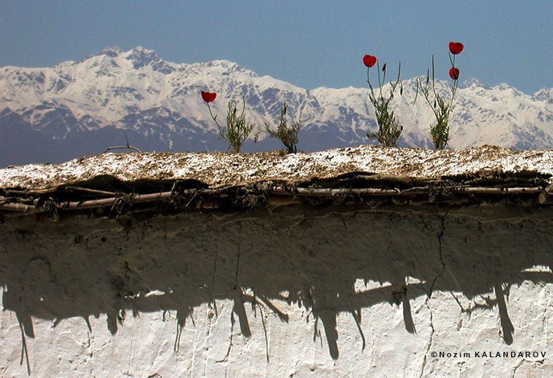 147940589_2825887240994664_6744567739934875552_n