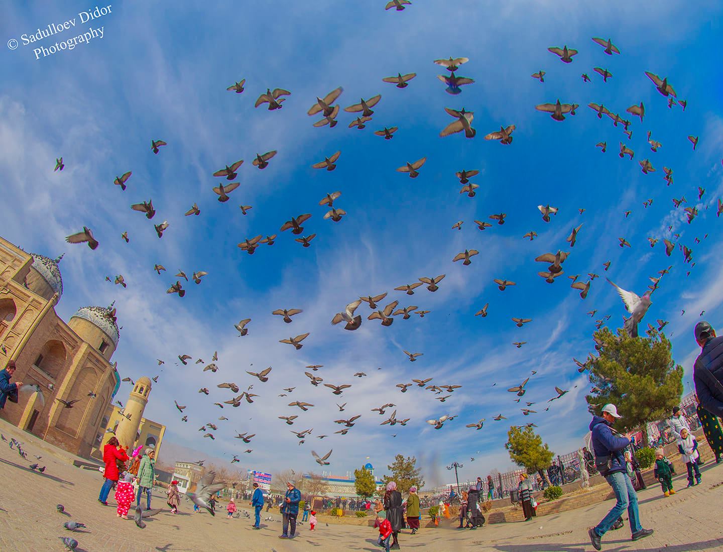 148962646_3644146372380872_7779872723805994992_o