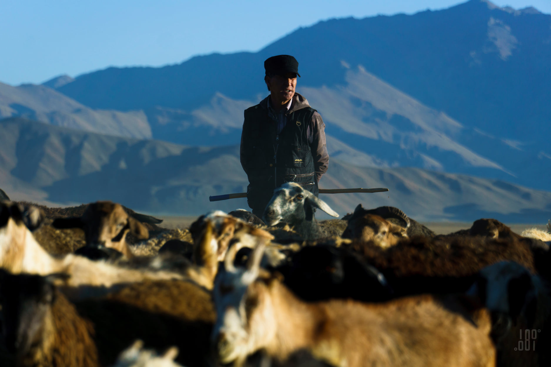 153289420_2117553671885391_3430594067142912989_o