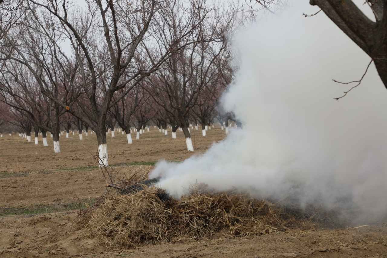 155129492_3815530235220701_8070698738031824757_o