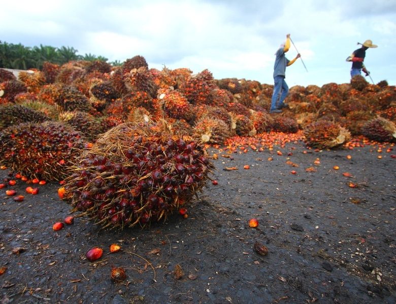 75866-0604625411291785-81-10-641742-80013368-3583-1121355839-3898237920411795-780x600