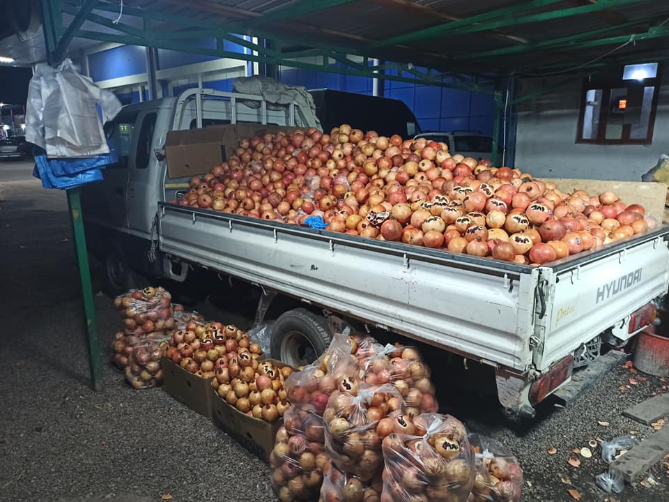 83159915_2667094316752754_8383981538538160128_n