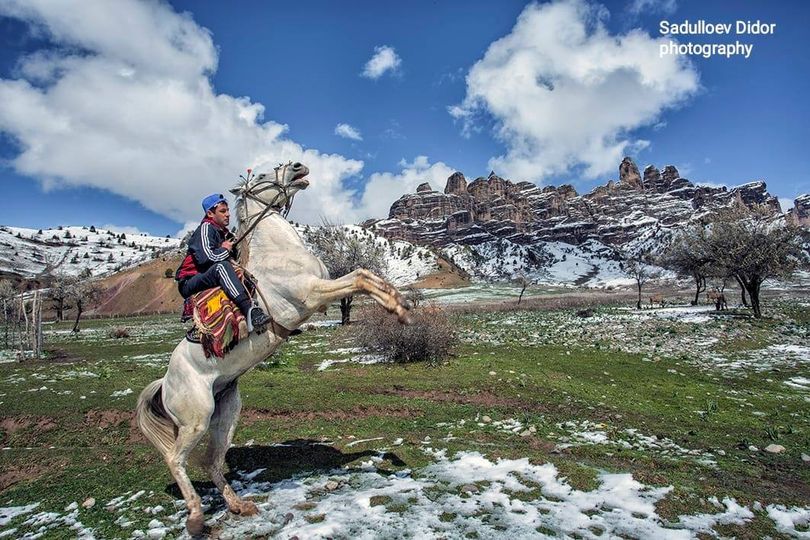 86194133_2700589303403255_5424451580684402688_o