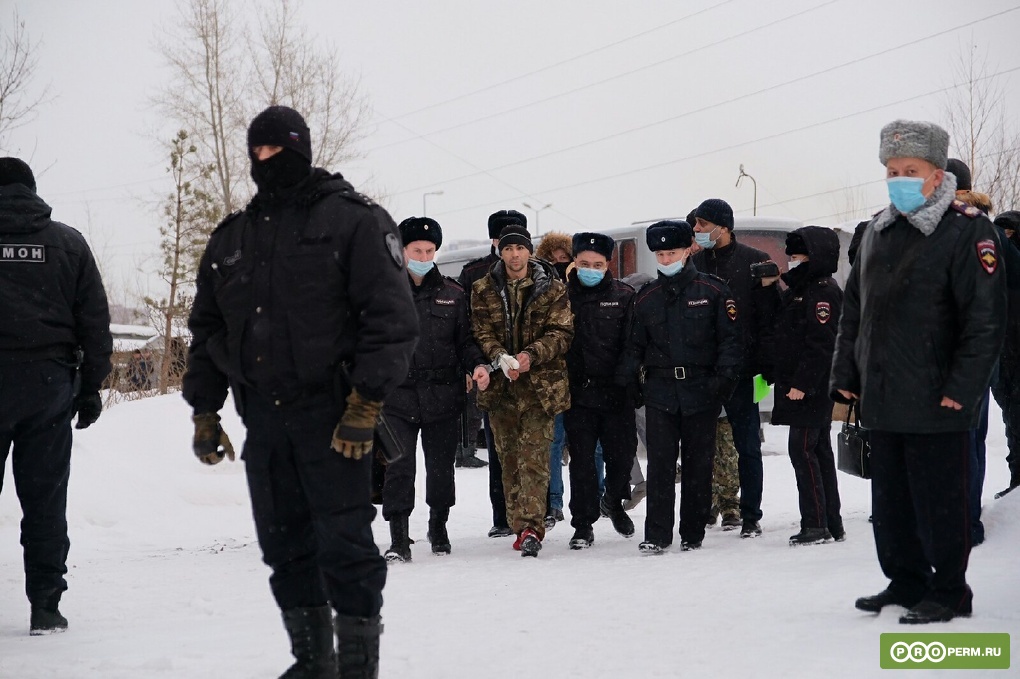 a2557494_resizedScaled_1020to679