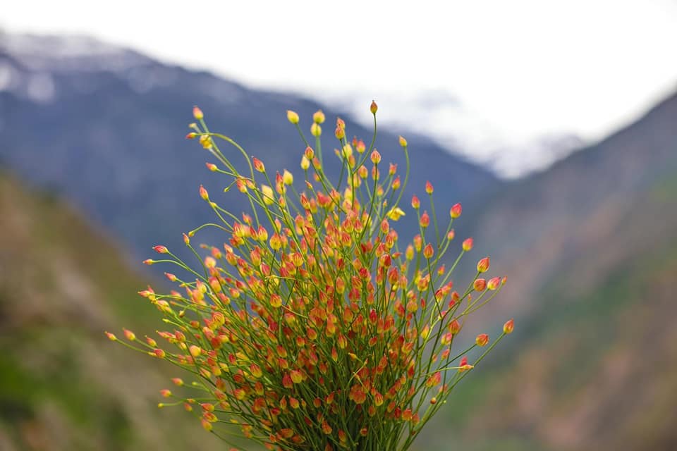 158999365_5231266110277899_3800788081480704147_n