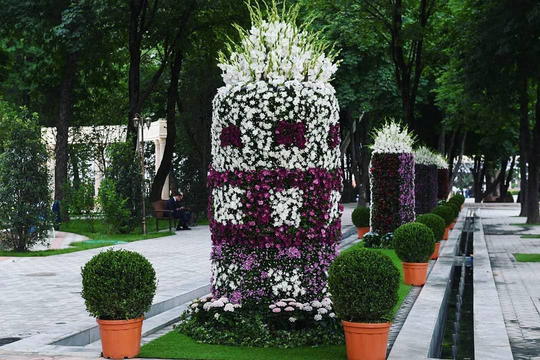 62212131_2319199911661418_4972100045907165184_n