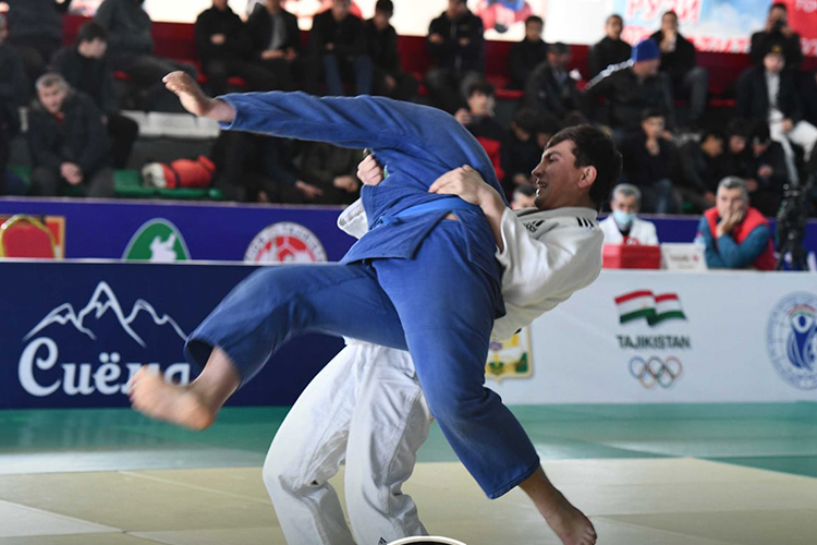 685eb1b2678b01288a2fd5fa0704e77b