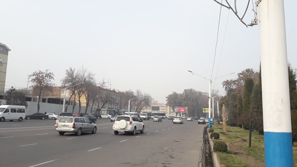 131049125_216801989959592_7767043151427187826_n