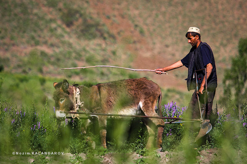 173111502_2872276186355769_8543135930607898190_n