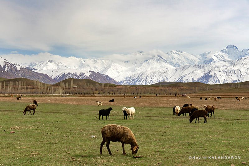 176375481_2880973072152747_2980044170378677875_n