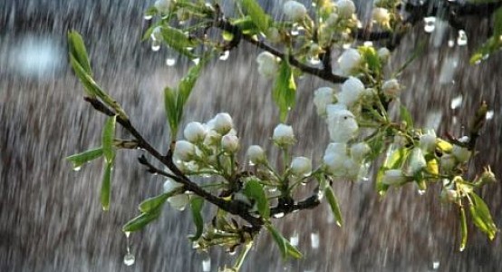 412e1c260042b68c76a5b9de8b20a291