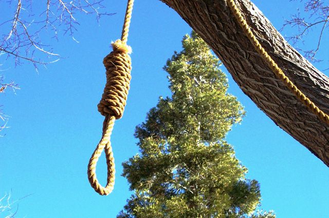 ca3036ef9743c6c43d630c6bc79d64f9