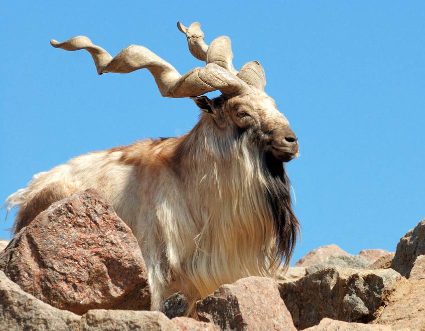 kak-byi-ne-zaoxranyat-do-smerti_02