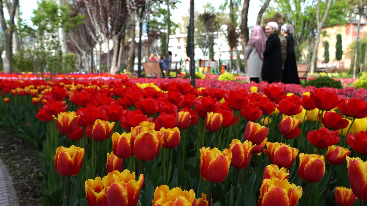 park-kurushi-kabir-vesna-2020