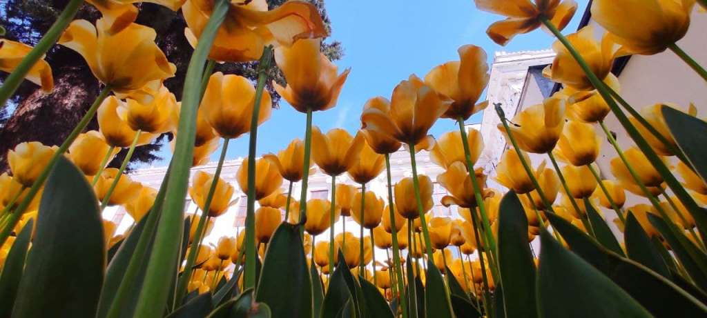 photo_2021-04-16_13-13-58