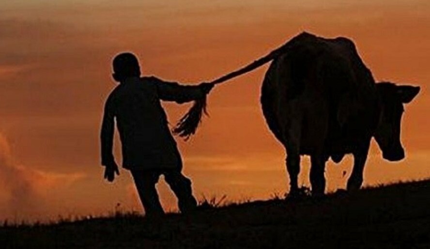 skotokrad_5e4d078842123