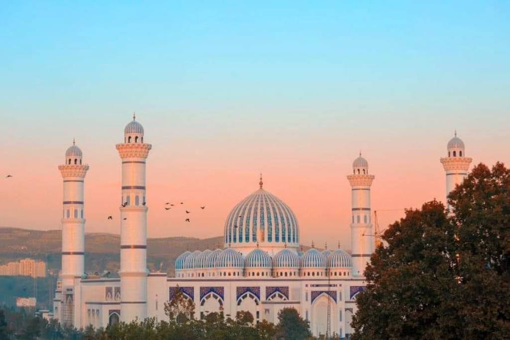 185226888_314375973555388_7292558780333518164_n