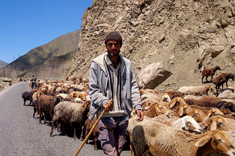 186511805_2894890814094306_7668253263720487688_n