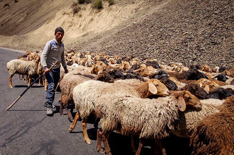 187318877_2894890864094301_7761586645371911154_n