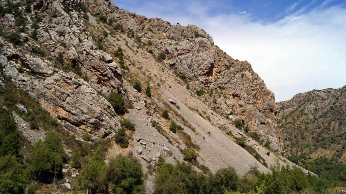 4xur0cklr2smz3t2hw6y_6oaaqzewdrfxm6ck9aev