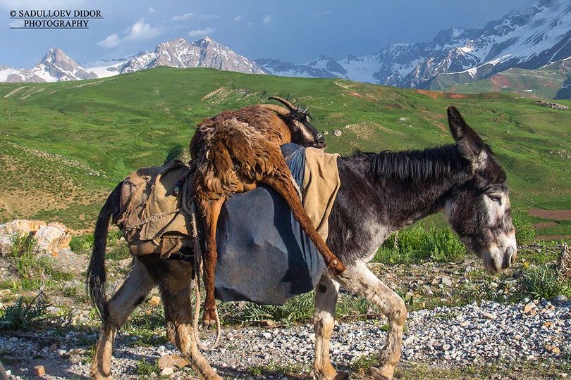 198206724_3983014898494016_2383840362708098508_n