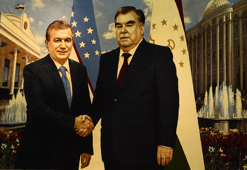 51239872656_a4ed220cea_c