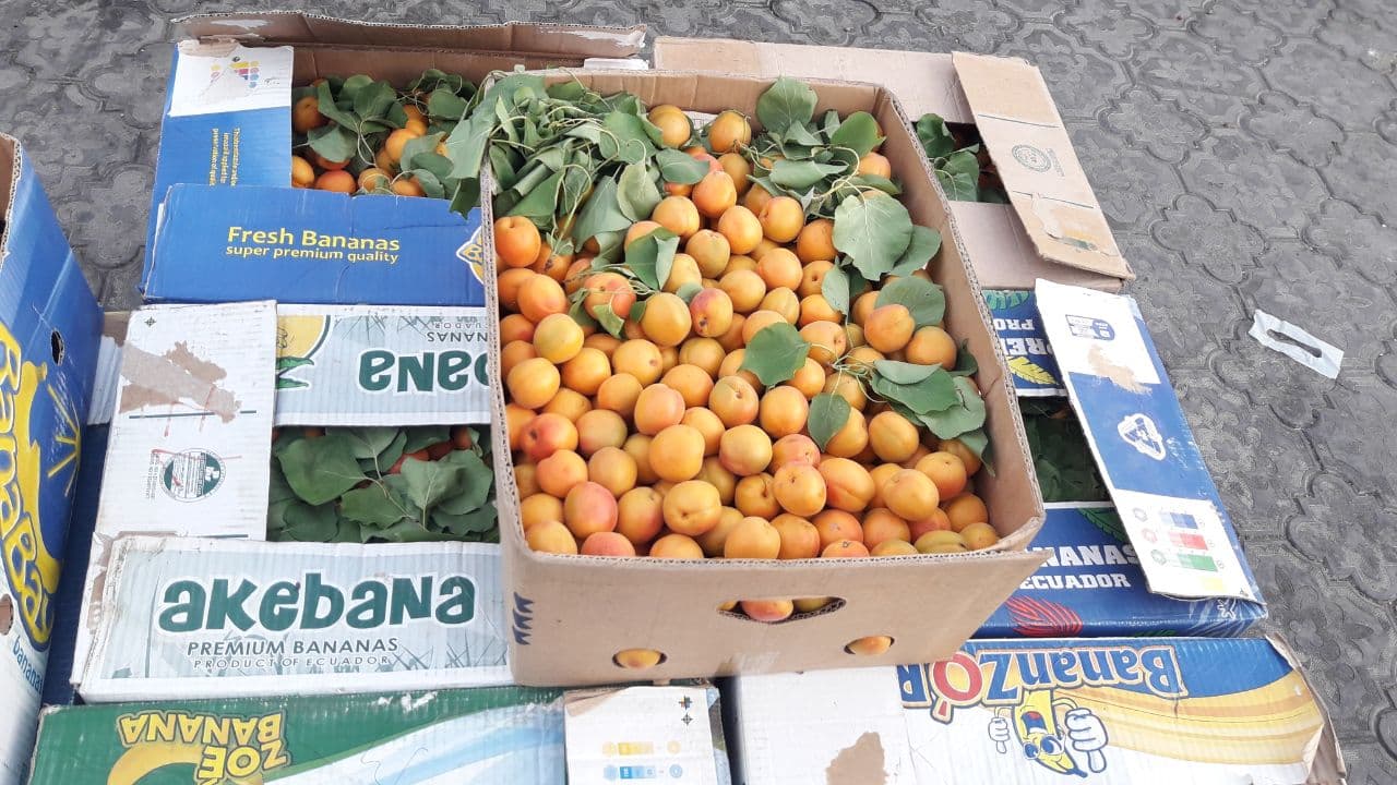 photo_2021-06-30_15-34-48