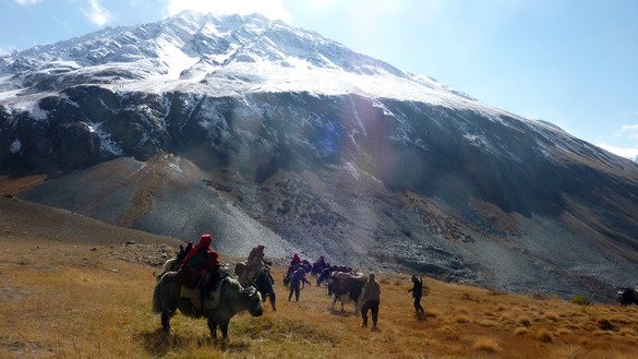 11452-000_yi6bc-585_329