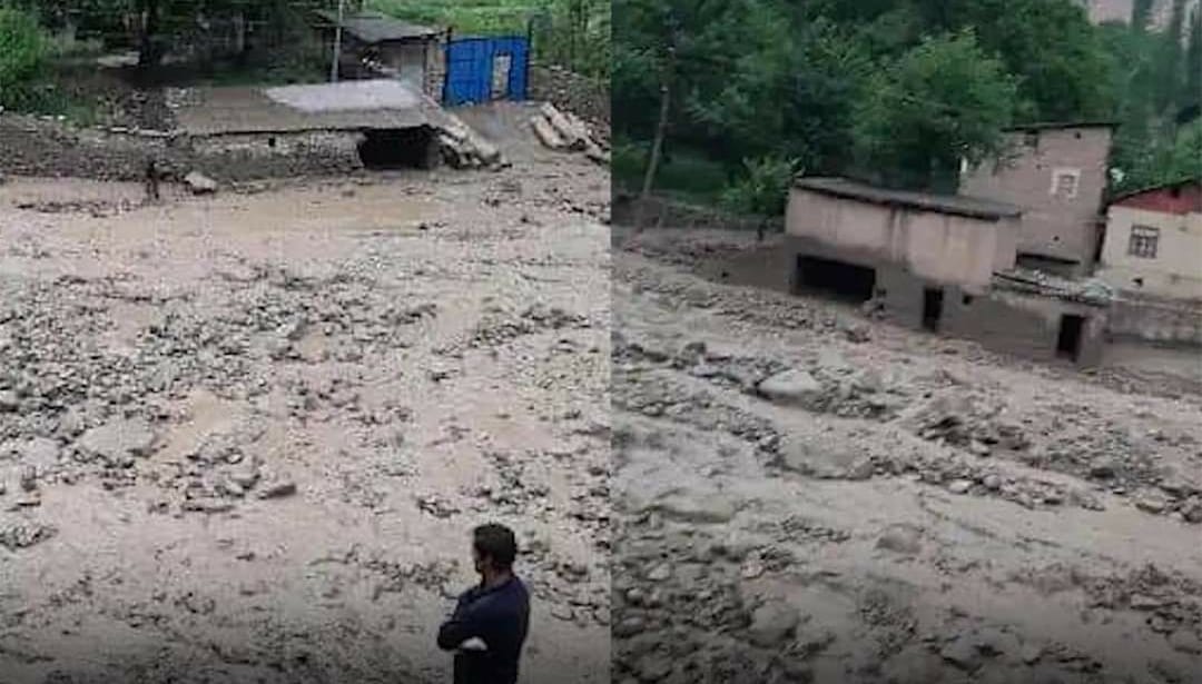 219118106_139440461649533_8442942642312440530_n