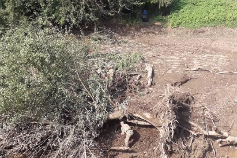 e3b0dc57-3d4f-431b-aeb4-a6d1273f0f8d