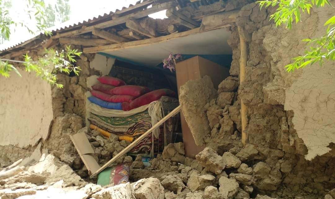 photo_2021-07-11_00-10-43