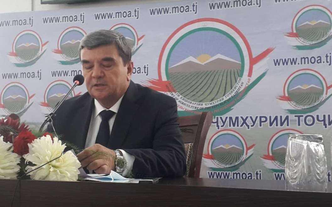 photo_2021-07-12_20-00-17