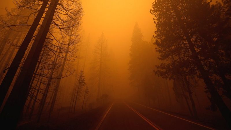 _119804001_hi069284089