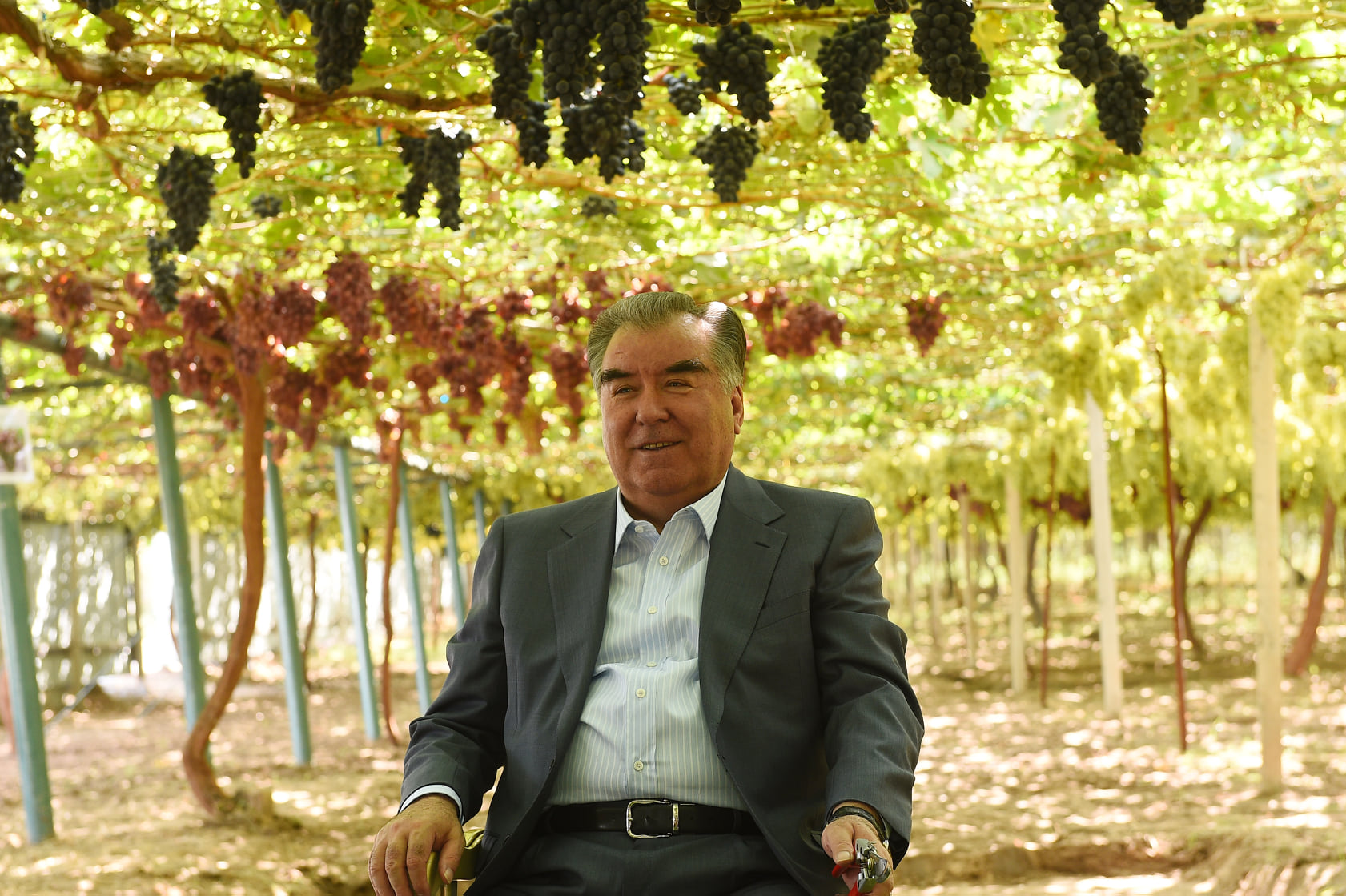 240229527_5982263468510456_3229492561228649701_n