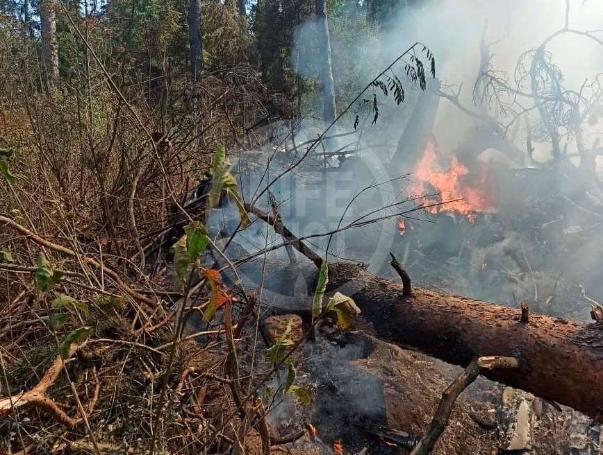 photo_2021-08-17_15-08-37