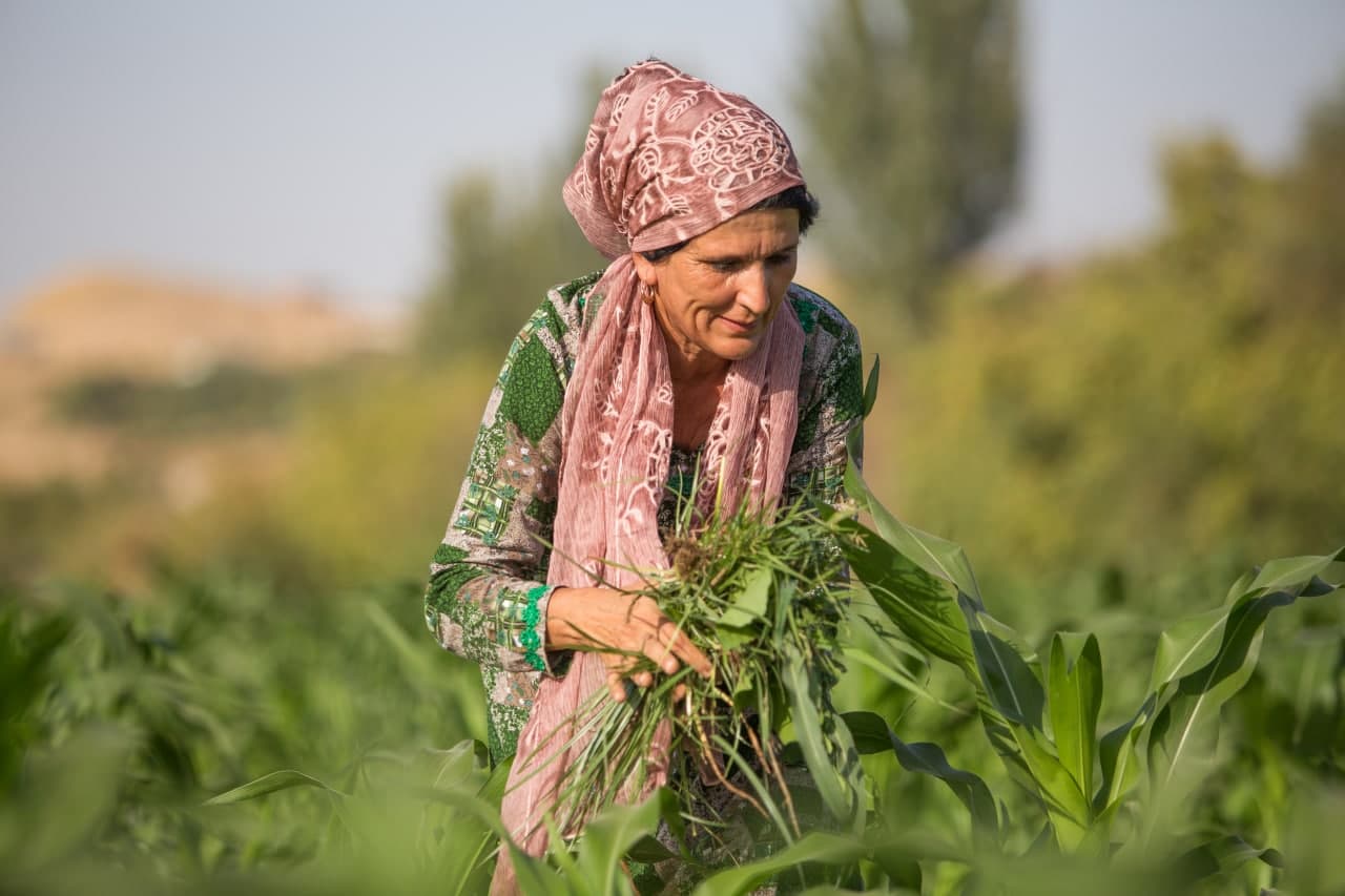 photo_2021-08-31_16-14-39