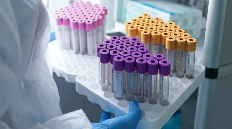 cd69f74c1936b94696e010c1646d0d5d_XL