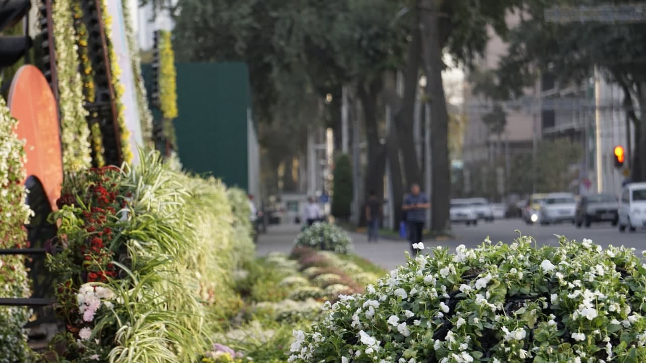 photo_2021-09-15_19-10-16