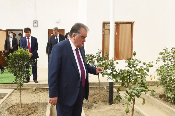 243463646_6178885798848221_2883151484618485347_n