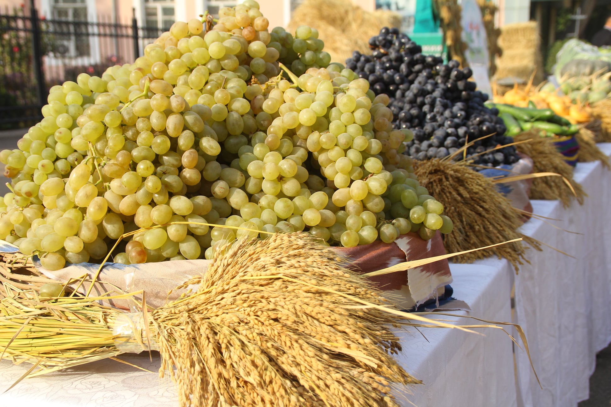 246133097_2724623464506136_6117413816659695687_n