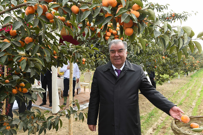 51564913281_5b4d6f9c0e_c